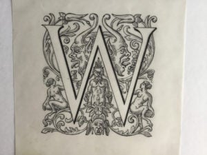 Illustrated 'W' by David Eccles