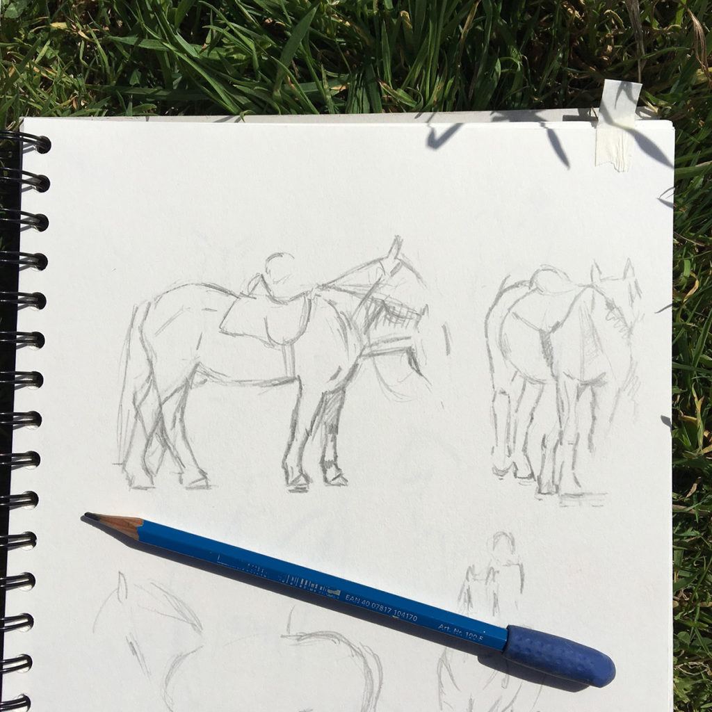 Horse sketches by Annette Hamley Jenkins, in preparation for Black Beauty