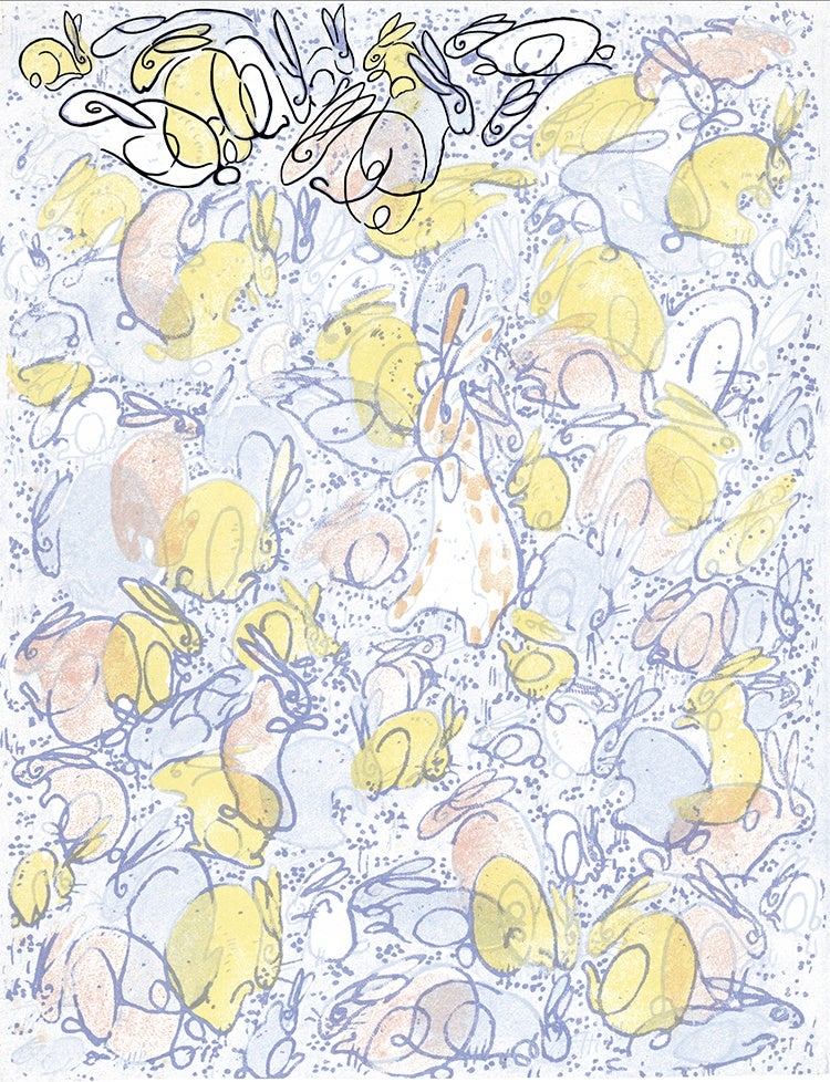 Endpaper design for The Folio Society edition of The Velveteen Rabbit