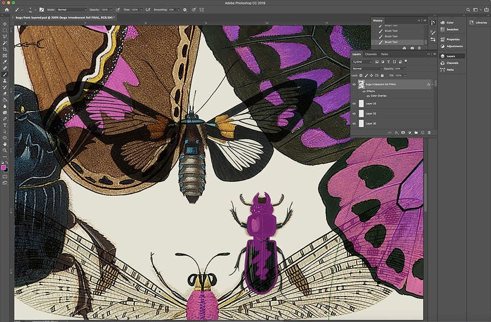 Tracing insect wings on The Diversity of Life