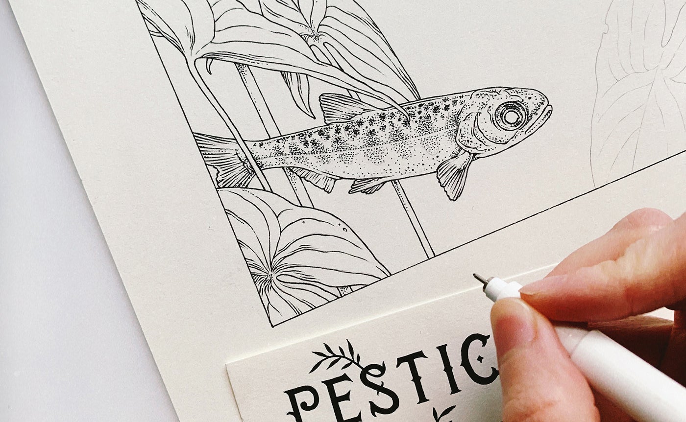 This Folio Life: Illustrating an ecological masterpiece