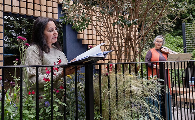 This Folio Life: The Folio Society’s Reading Room Garden