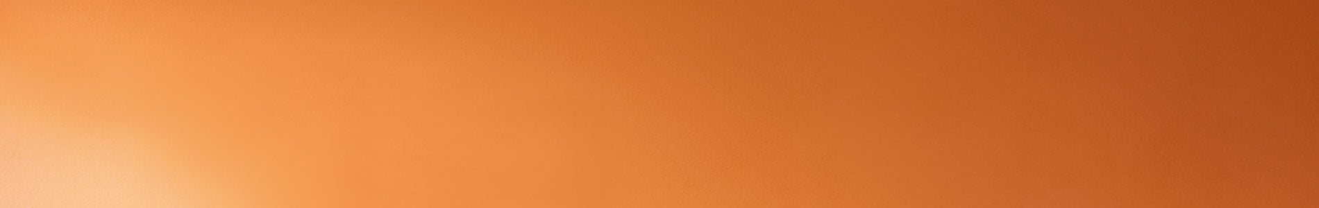 The Autumn Collection