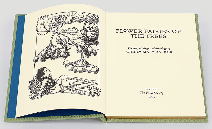 Open page spread of the Flower Fairies of the Trees, The Folio Society 2020 Open page spread of the Flower Fairies of the Trees, The Folio Society 2020