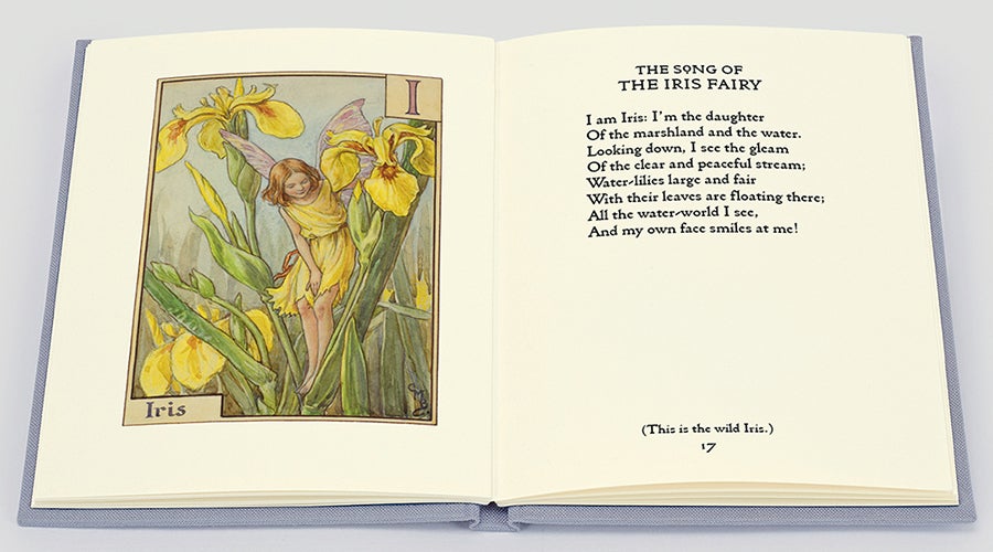 Open page spread from The Complete Flower Fairies, The Folio Society 2020 Open page spread from The Complete Flower Fairies, The Folio Society 2020