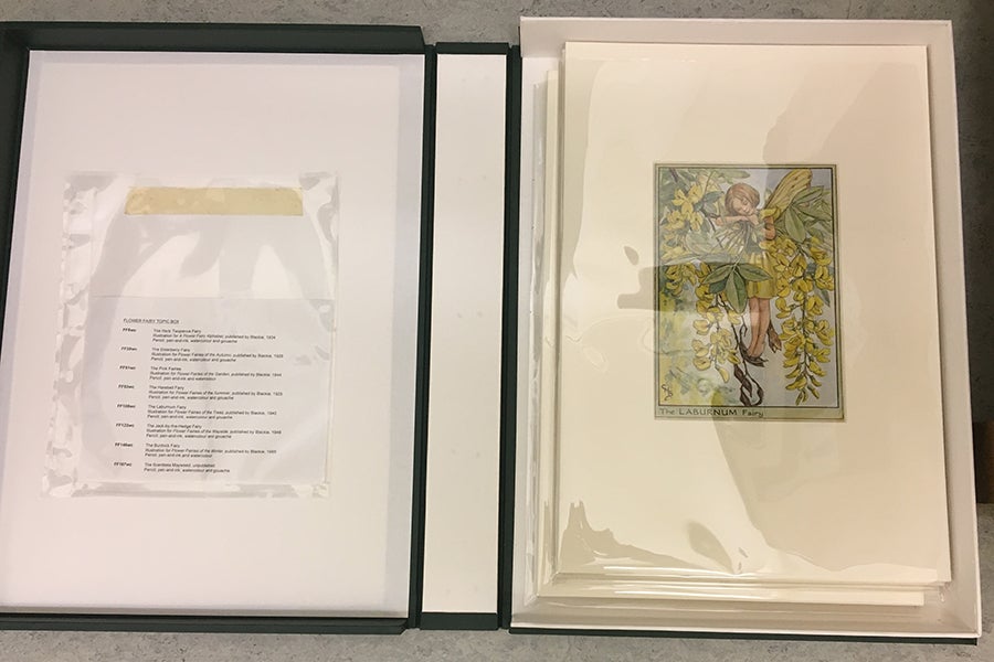 Original Flower Fairies artwork in museum archives Original Flower Fairies artwork in museum archives