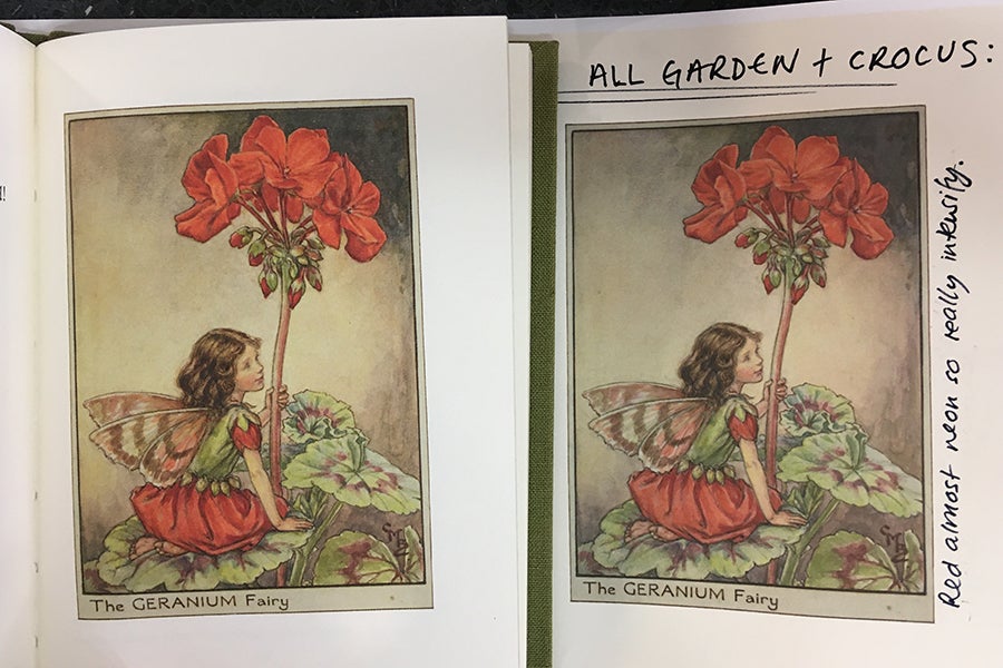 Comparing the original artwork of the Geranium Fairy to Folio's new reproduction Comparing the original artwork of the Geranium Fairy to Folio's new reproduction